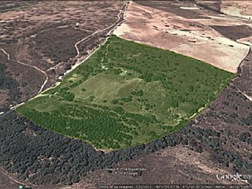 Imagen_GoogleEarth.jpg Venta de terrenos en Aldea del Fresno